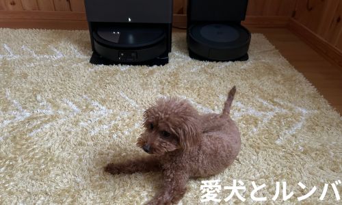 愛犬とルンバ