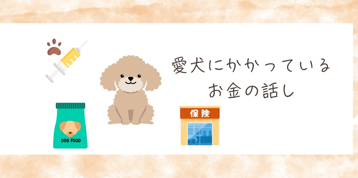 犬の費用の実際と節約レビュー【年間いくら？我が家の体験談】